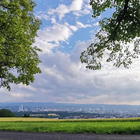 Wohlfuehlen Im Scandic Homey Apartmán Grenzach-Wyhlen