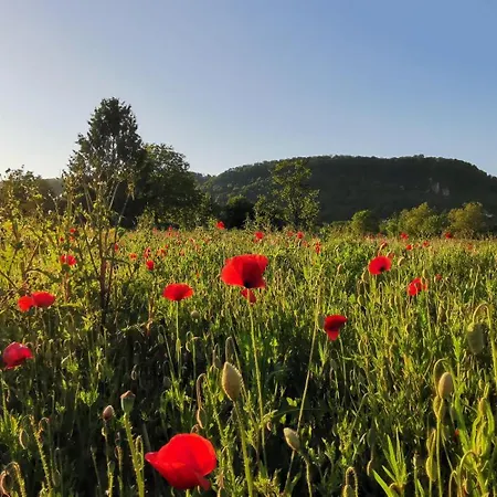 Wohlfuehlen Im Scandic Homey Grenzach-Wyhlen