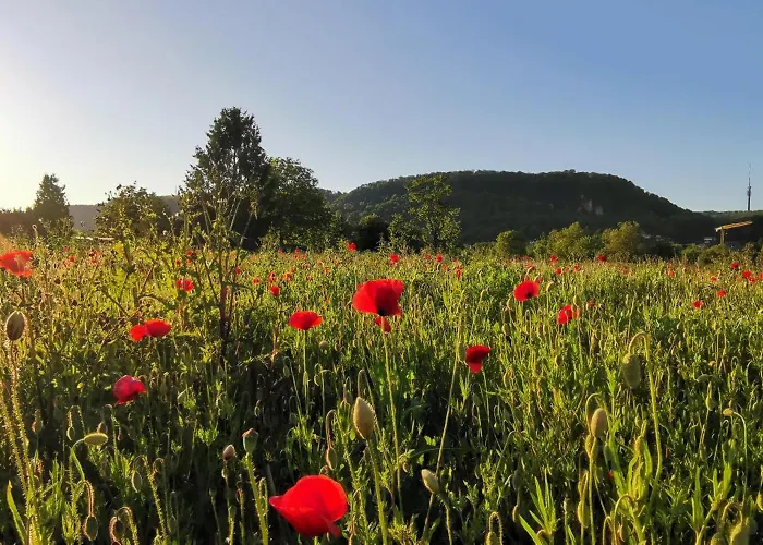 Wohlfuehlen Im Scandic Homey 格伦扎克·威伦